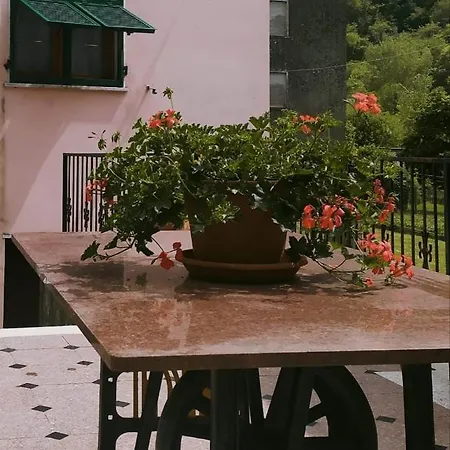 Casa Silvana *